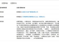 方舟手游之旅，兄妹合伙的冒险故事方舟手游兄妹合伙怎么弄